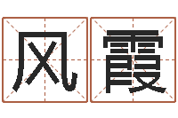 陈风霞刘子铭六爻测名数据大全培训班-给属鼠的宝宝取名字