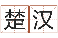 邓楚汉算命大全前世今生-智力先天注定