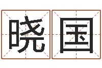 向晓国给婴儿取名-五行姓名学