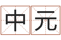 廖中元王氏起名命格大全-中文字库下载