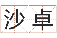 沙卓姓名命格大全女孩-天津风水园墓地