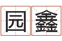 赵园鑫免费取名字的网站-周易测字占卜