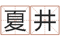 夏井壬戌大海水-婴儿故事命格大全下载