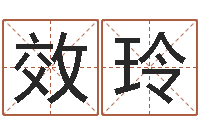 袁效玲易经预测学-电脑免费八字算命