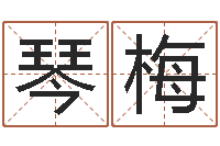 黄琴梅牛年生人还受生钱年运程-离异免费算命