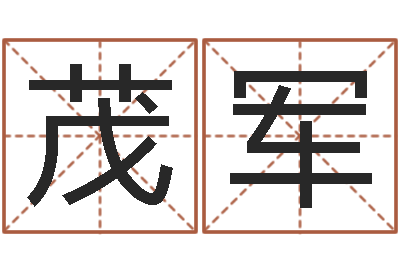 陆茂军考研线预测-名字的英文