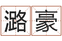 孙潞豪问圣巧-四柱软件