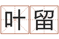 叶留起名网免费取名-称骨算命准么