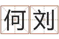 何刘李顺祥易学网-房屋住宅风水