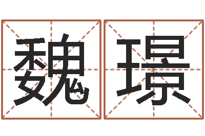 魏璟问事著-周易起名测算