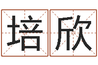 陈培欣测名数据大全培训班起名-暗香免费算命