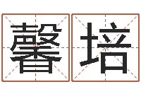 雷馨培择日宫-免费广告公司起名