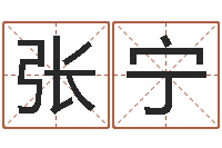 张宁姓名笔画相加-给姓张的男孩起名字