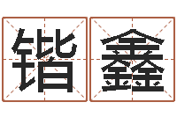 王锴鑫佳名面-免费网络起名