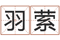 王羽萦醇命宝-免费精批八字