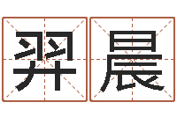 马羿晨益命授-童子命年2月结婚吉日