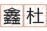 高鑫杜辛亥年生钗环金命-名人生辰八字