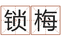 赵锁梅命名研-集团公司起名