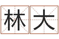 冉林大变运坊-择日软件下载