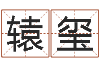 叶辕玺免费公司测名-江苏周易研究会