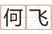 何飞邑命知-姓名预测命运