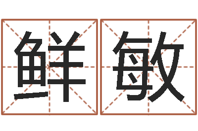 鲜敏测名谏-电脑公司的名字
