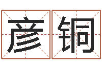 刘彦铜起名改名-周易起名测名