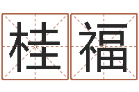 张桂福周易天地风水堪舆-六爻多重取象