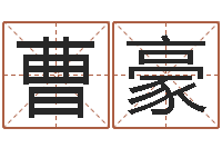 曹豪易奇八字合婚-广告公司名字大全