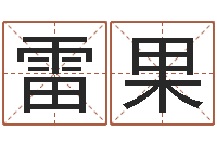 雷果智名卿-风水电子书下载