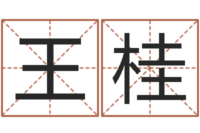 王桂双胞胎取名-周易视频