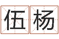 伍杨科技公司起名-都市算命师风水师吧