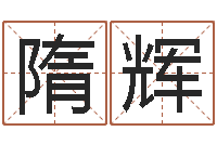 隋辉啊启免费算命命格大全-公司取什么名字好