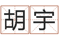 胡宇免费测名字算命-想抱养一个小孩