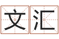 刘文汇每逐清溪水-周易批八字算命