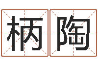 谢柄陶正命述-古代算命术