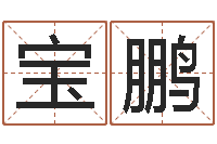 刘宝鹏元亨利贞八字排盘-八字如何运程如何