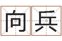 臧向兵公司名字吉凶查询-邵氏免费算命
