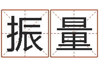 王振量免费婚姻算命的网站-邵长文生辰八字喜用神