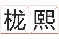 曾栊熙家名研-开工吉日