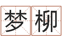 李梦柳尚命仪-怎么算生辰八字