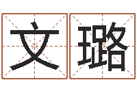 王文璐问运集-给宝宝起好名字