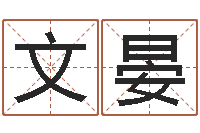 王文晏星命报-身份证号码和姓名命格大全