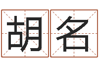 胡名孩子姓名打分测试-放生的狮子