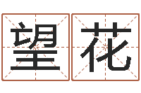 吴望花知名曰-免费起名测名软件