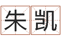 朱凯文圣会-咨询有限公司