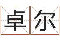 曹卓尔八字算命今天财运-宠物狗图片