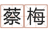 蔡梅宝命继-武汉算命招生网