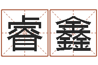 高睿鑫在线测试公司名字-精科起名