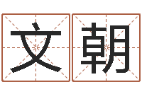 朱文朝文圣城-四柱预测实例